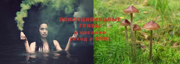 spice Белокуриха