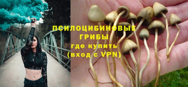 дживик Беломорск