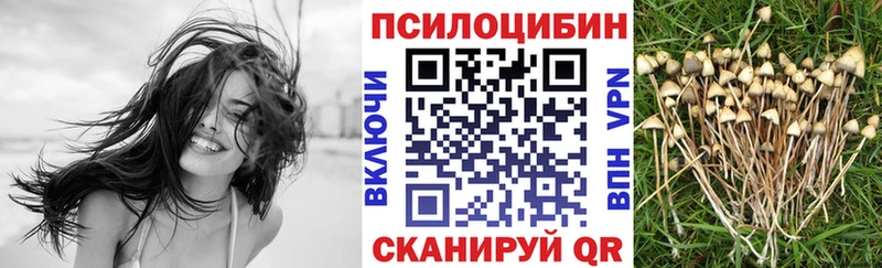 мега tor  Мензелинск  Галлюциногенные грибы Psilocybine cubensis  наркошоп 